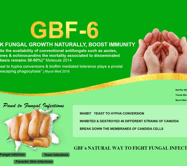 GBF-6 2.jpg