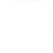 visionary_edited_edited.png