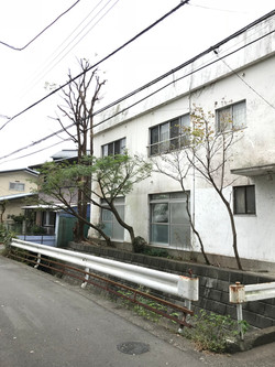 高木剪定@大磯町