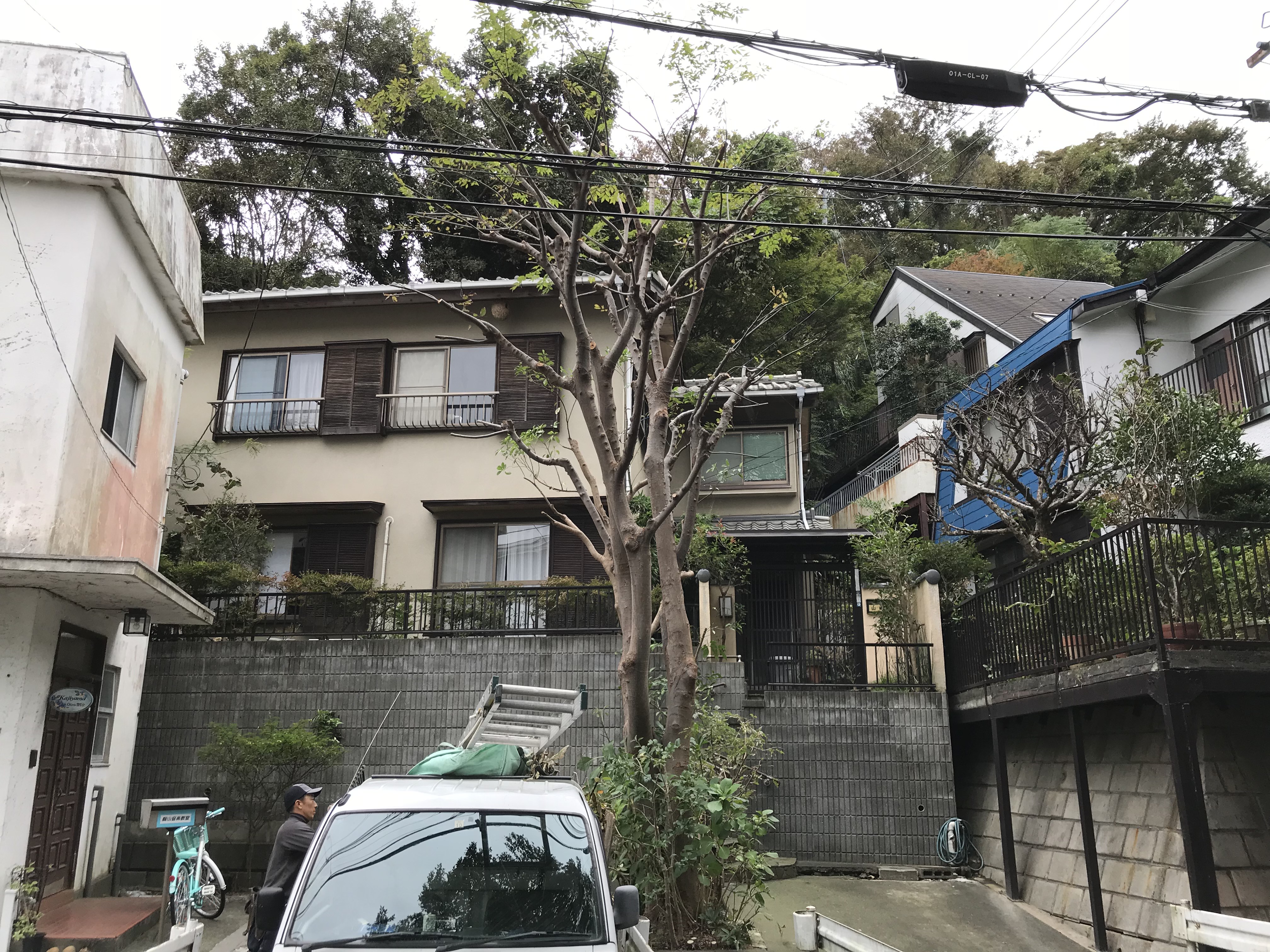 高木剪定@大磯町