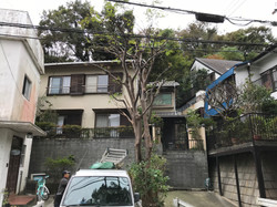 高木剪定@大磯町
