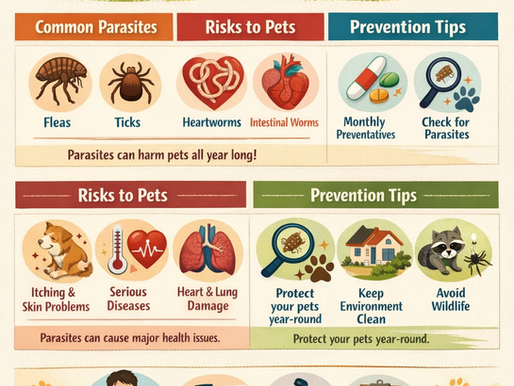 Parasite Prevention Basics: Fleas, Ticks, Heartworm, and Worms