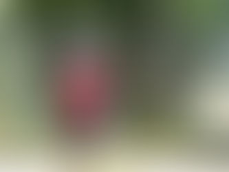 サングラスご協賛スポンサー様