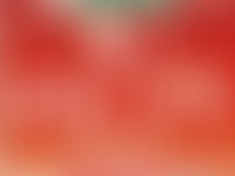 家の森 冬の住まいづくりフェア‼️