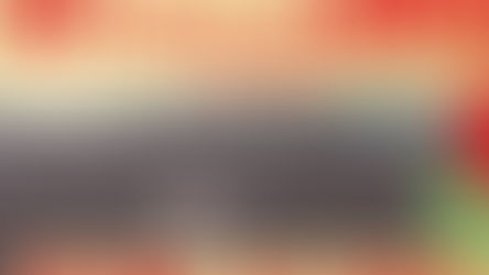 2025年1月のモルック情報