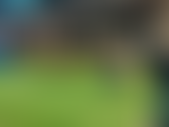 ゆるモルック協会〜福井支部 設立1周年!