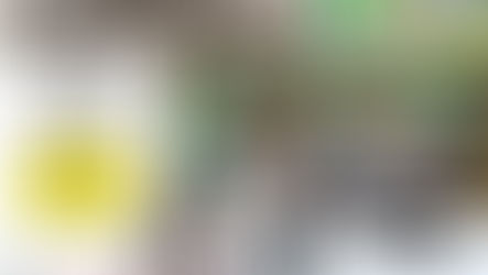 福モル【月の陣】〜長月の陣〜