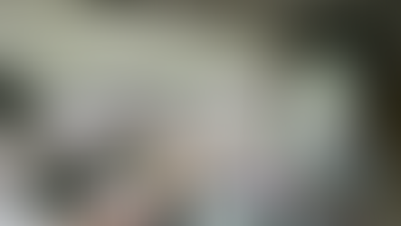 ゆるモルック協会〜事務所決定