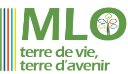MLO_terredevie_Logo.png