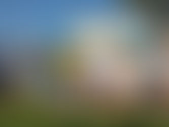 Sabbione Padel Cesena campione 2018