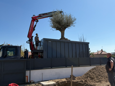 Paysagiste marcy l'étoile, paysagiste ouest lyonnais, Aménagement complet jardin, plantation, olivier, massif méditerranéen, massif ardoise, massif japonais, corten, brise vue corten, claustra corten, clôture ardoise, soubassement ardoise, arrosage automatique, bordure acier, pied de façade, gazon