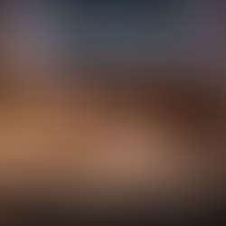 Passover, Memory, and What Liberation Demands of Us Now