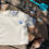 Thumbnail: Shell Hunter - Cream