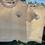 Thumbnail: Shell Hunter - Cream