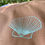 Thumbnail: Shell hunter - Brown