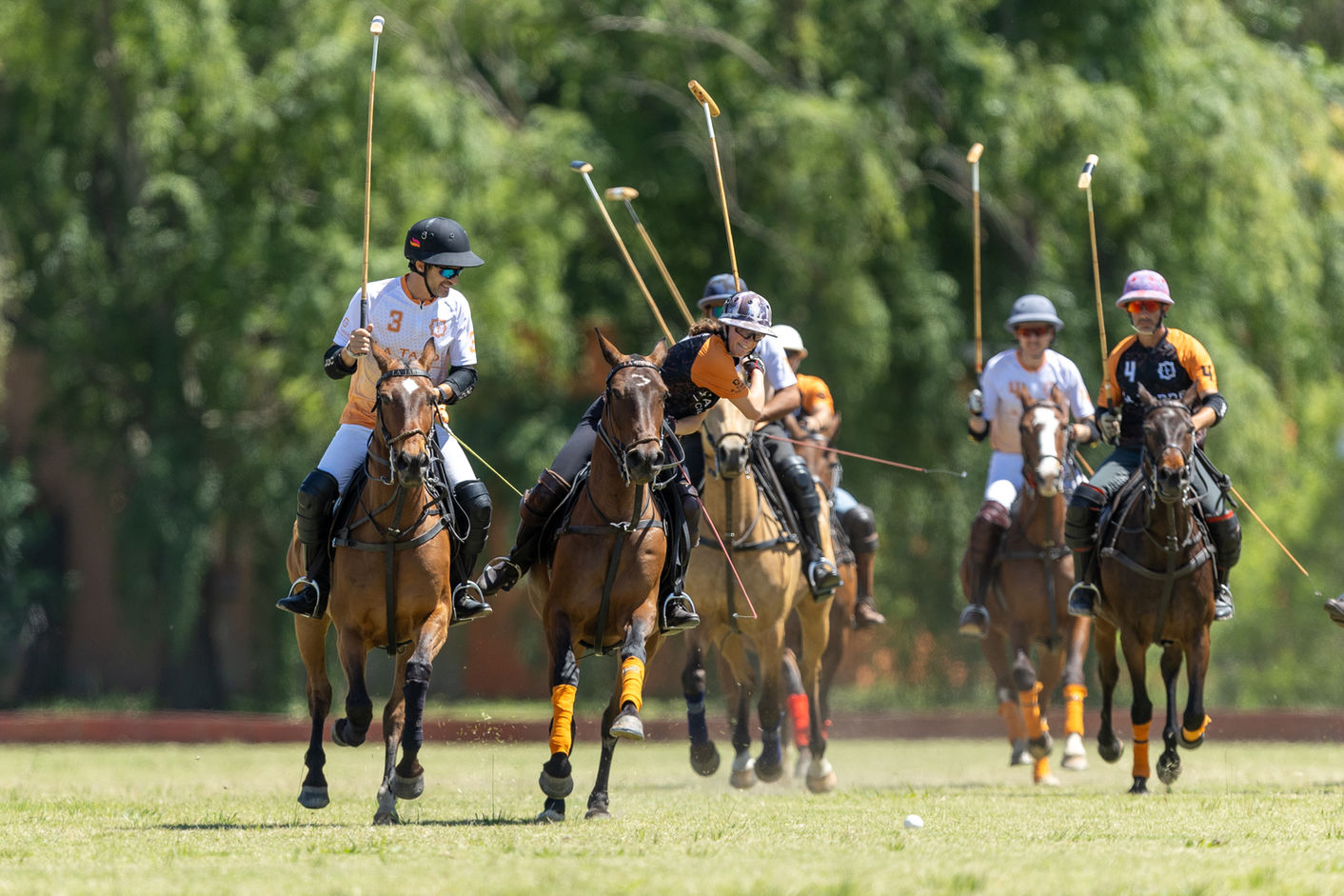 Play Polo at La Tarde