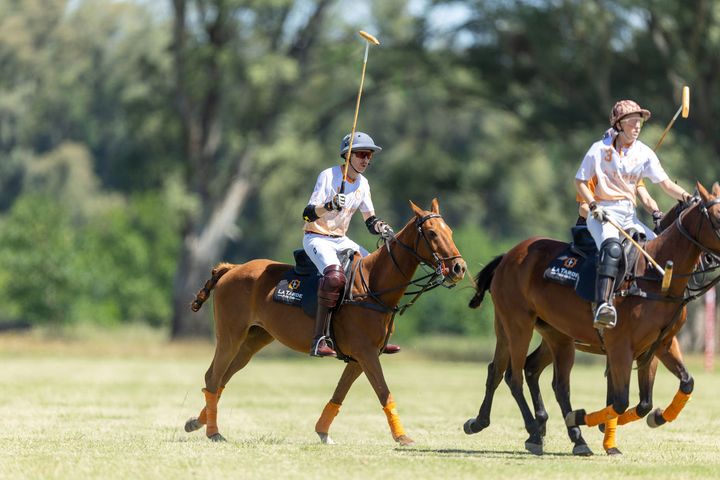 Beginners Polo in Argentina