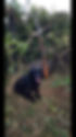 B3A3755A-5E07-48DB-8204-0351036E8A9E.jpe
