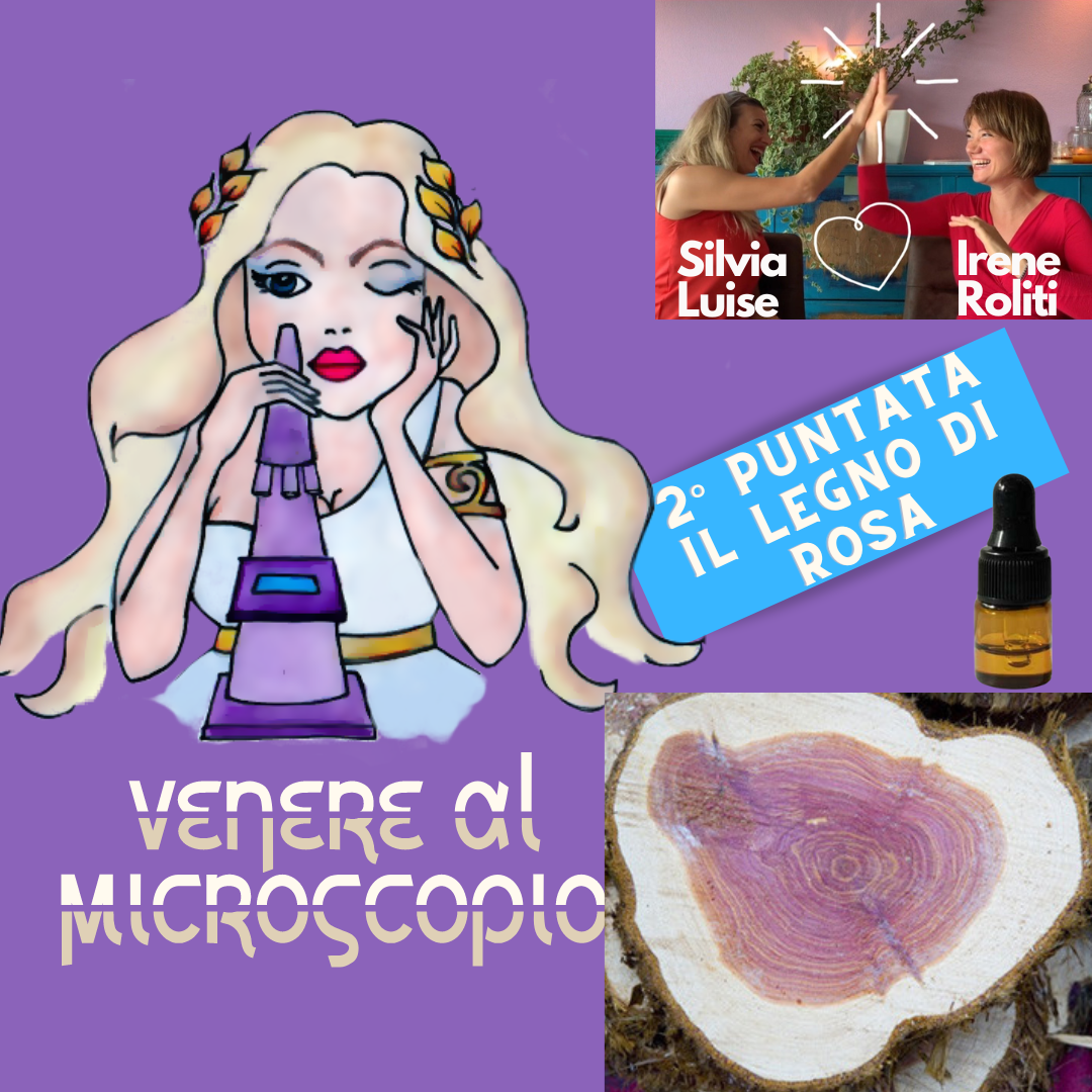 2. Il Legno di Rosa  | Venere al Microscopio