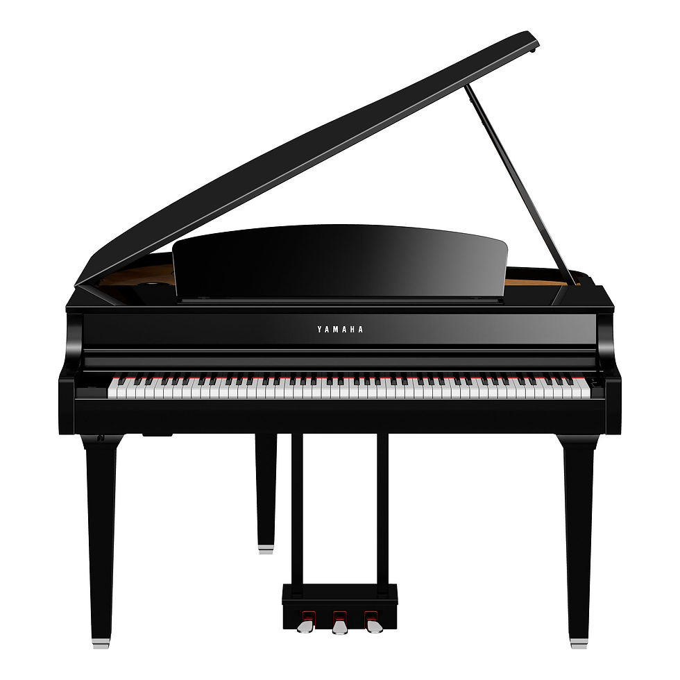 縮圖：Yamaha Clavinova CLP 895 GP