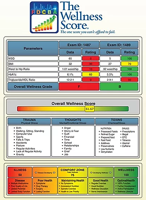 wellness-score.jpg.webp
