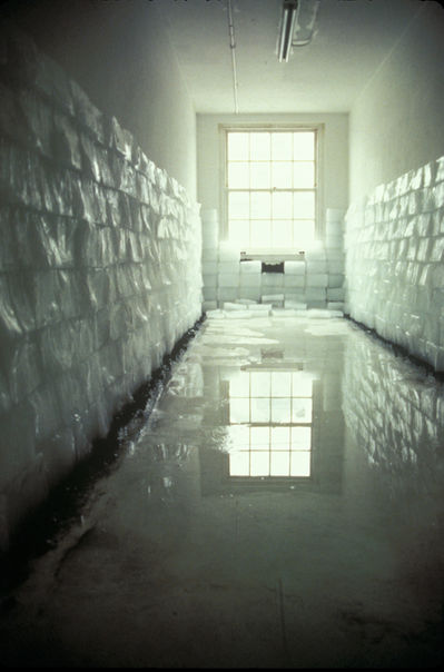 13the sealed-1.jpg