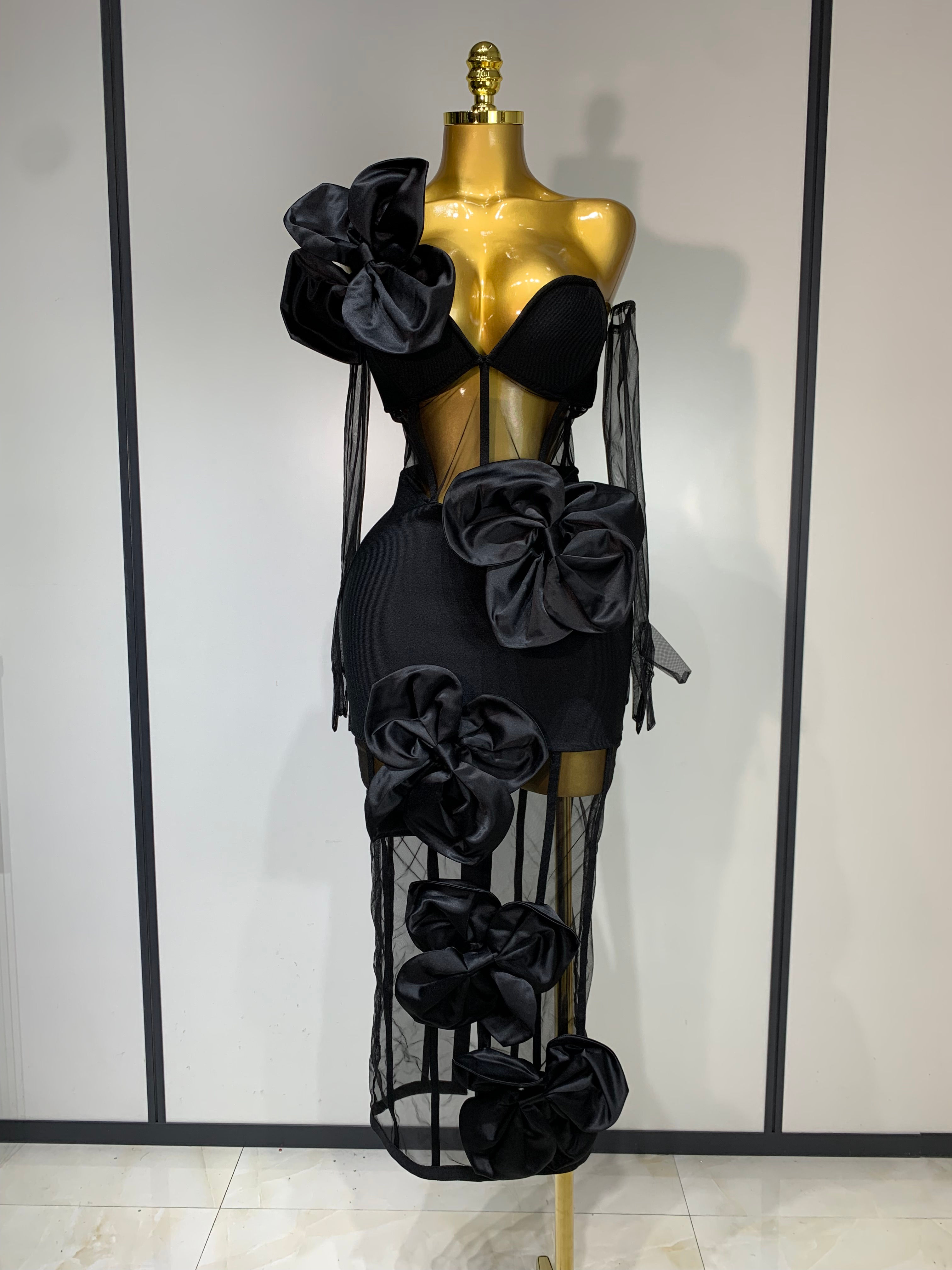 Eye Catcher Applique Dress