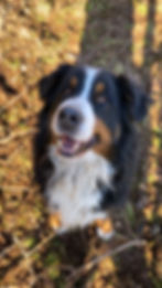 unser lieber Leo