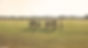 4U6A0521 test widened.jpg