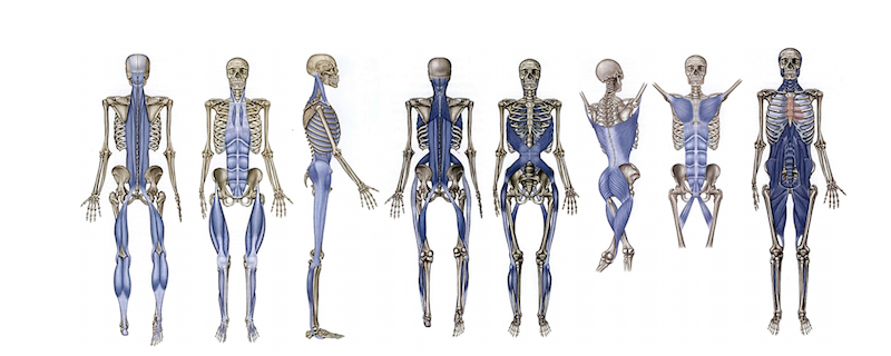 Core 3 Restore educational article illustration