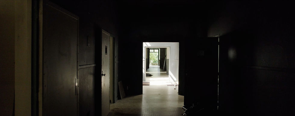 © Paule Muxel Bertrand de Solliers 2023-33.jpg