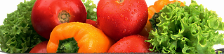 Grow your own Organic Produce