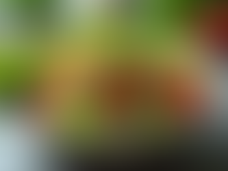 Mindful Eating: Conscious Eating Tips for a Healthier Relationship with Food