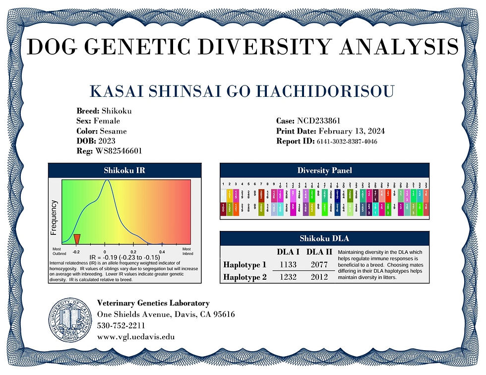 Kasai Shinsai Go Hachidorisou