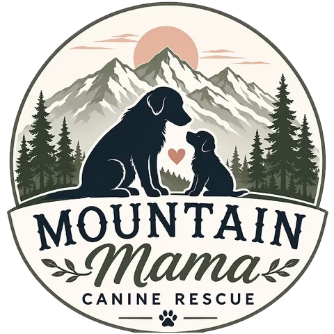 MountainMama.png