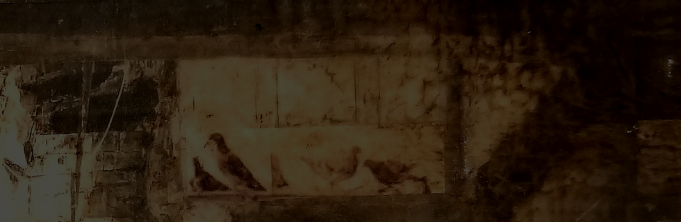 FRAGMENTS%2038%20-%20Copy_edited.png