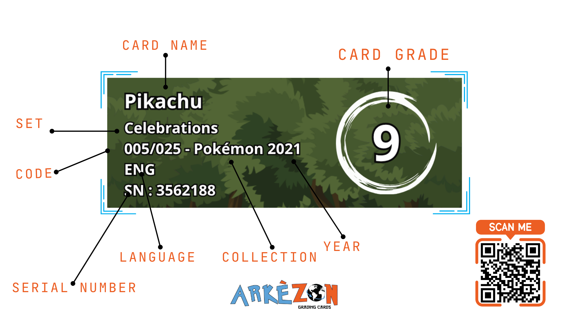 3562188 - Pikachu - 005/025 - 9