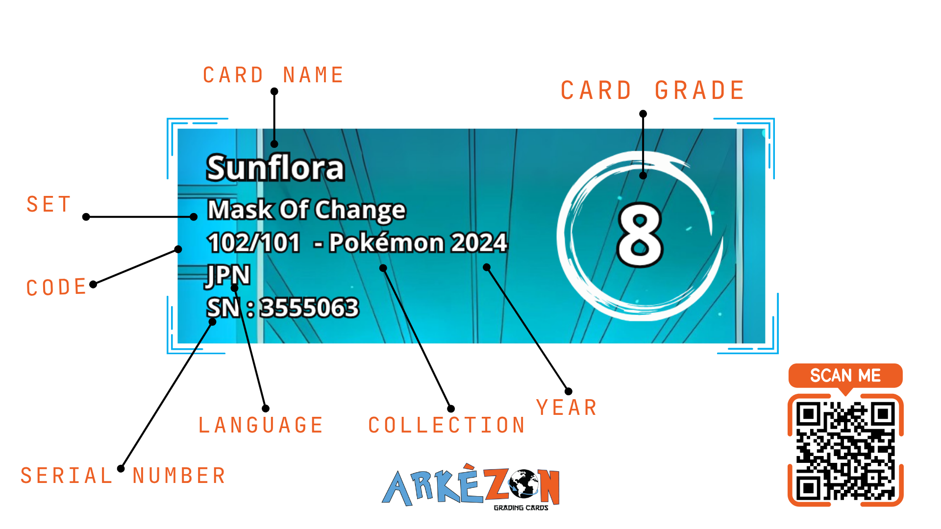 3555063 - Sunflora - 102/101 - 8