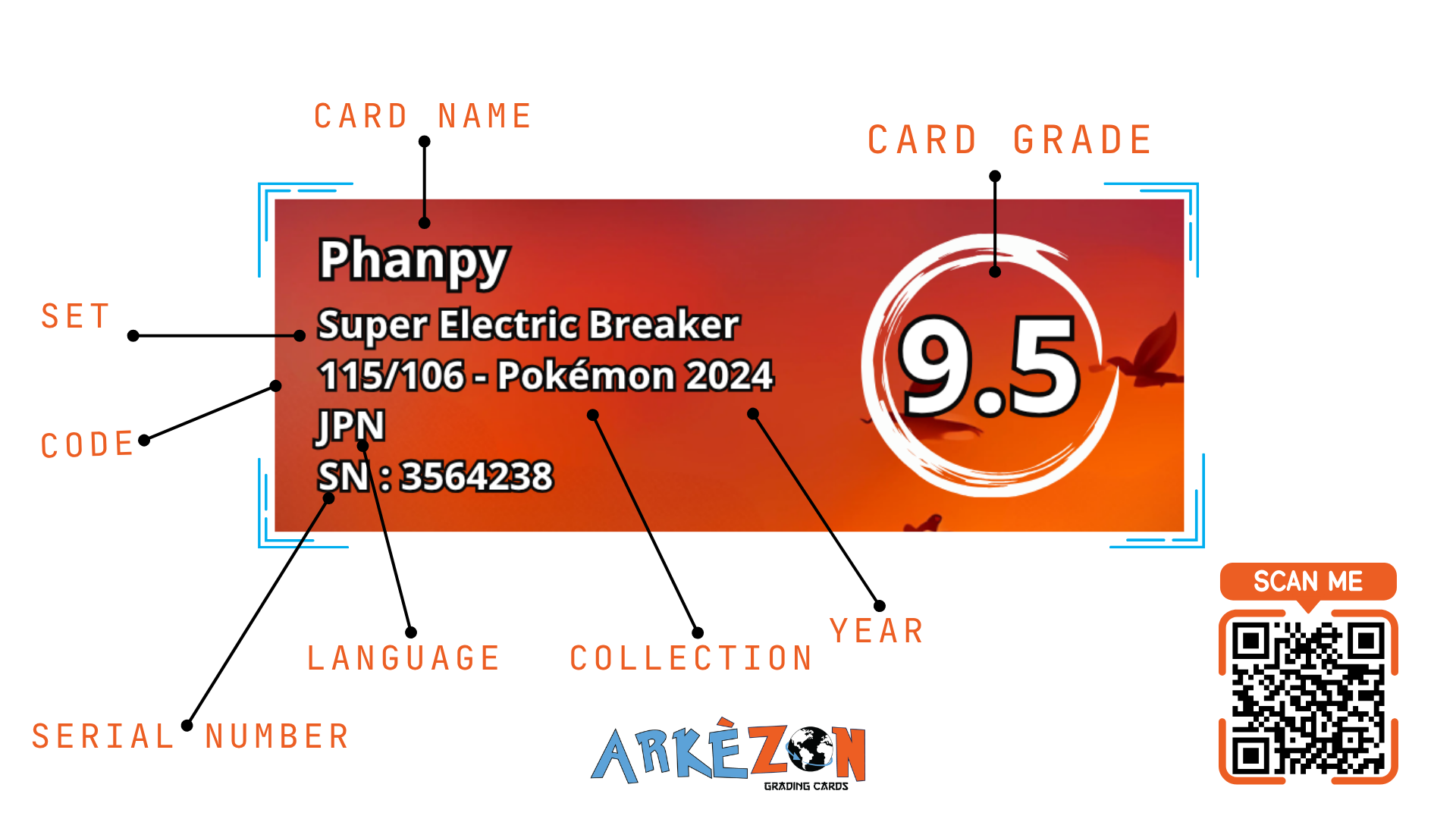 3564238 - Phanpy - 115/106 - 9.5