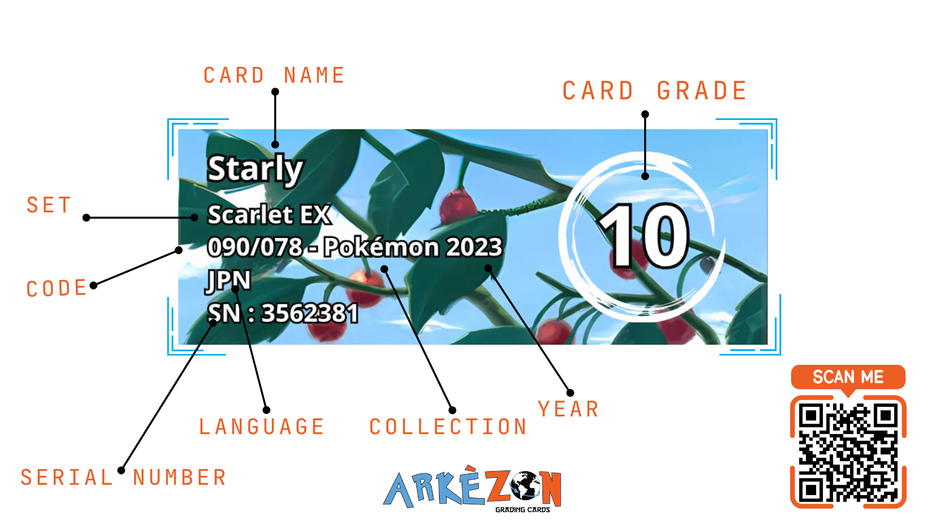 3562381 - Starly - 090/078 - 10