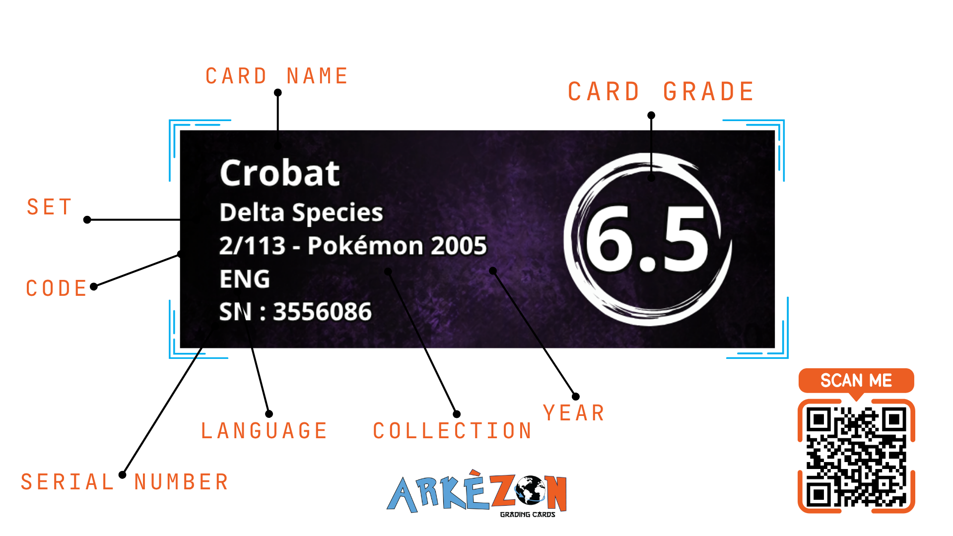 3556086 - Crobat - 2/113 - 6.5