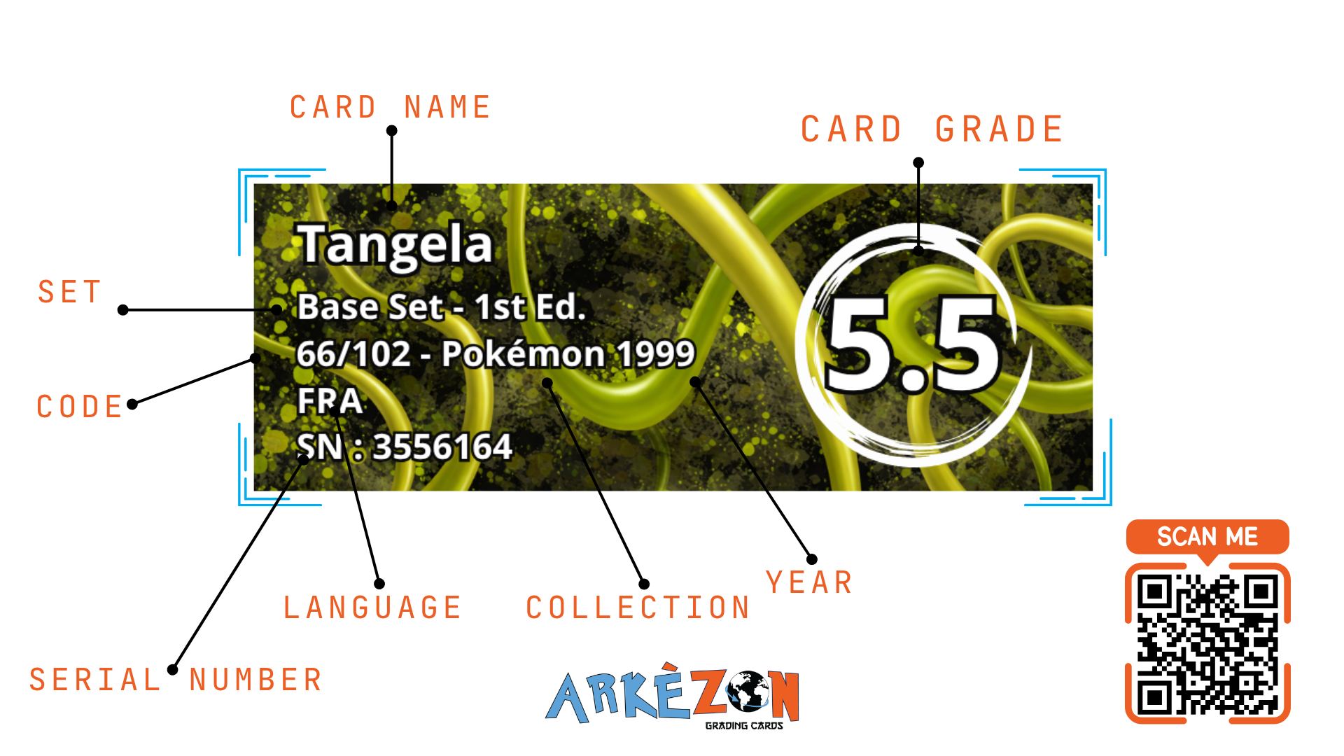 3556164 - Tangela - 66/102 - 5.5