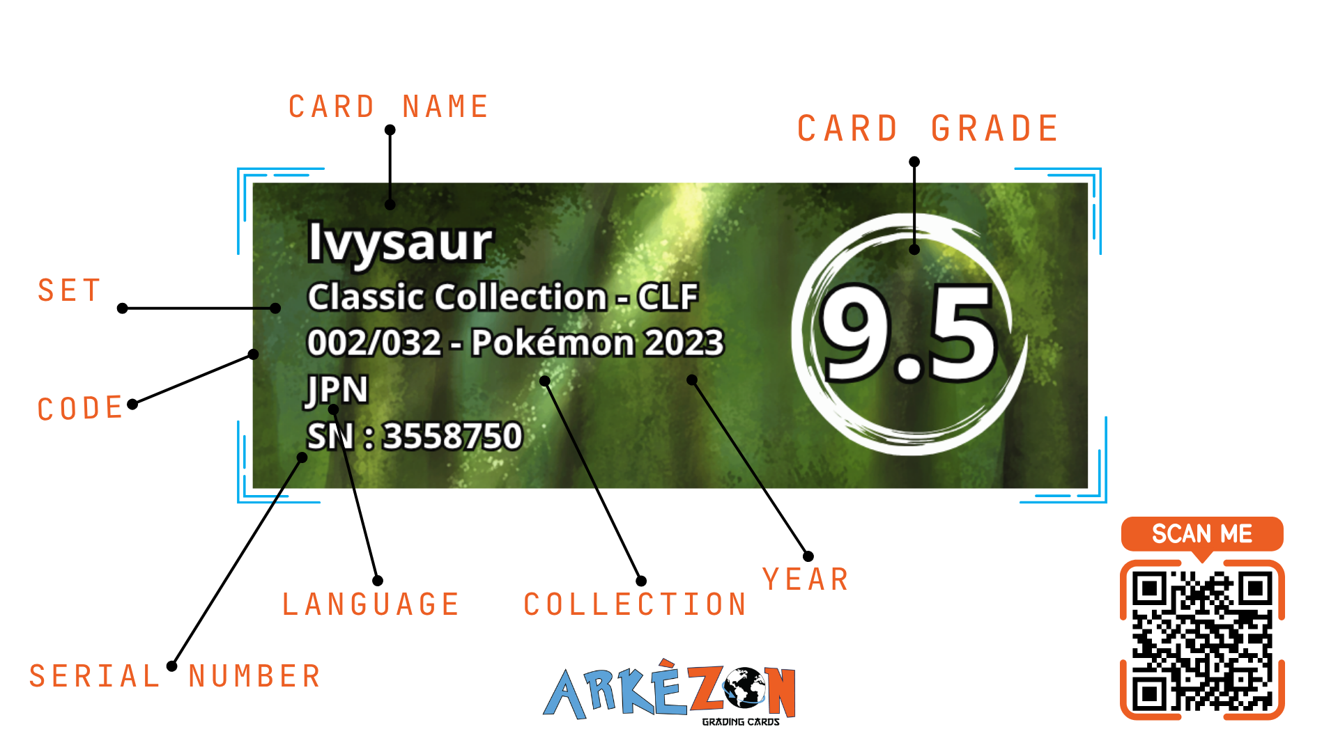 3558750 - Ivysaur - 002/032 - 9.5