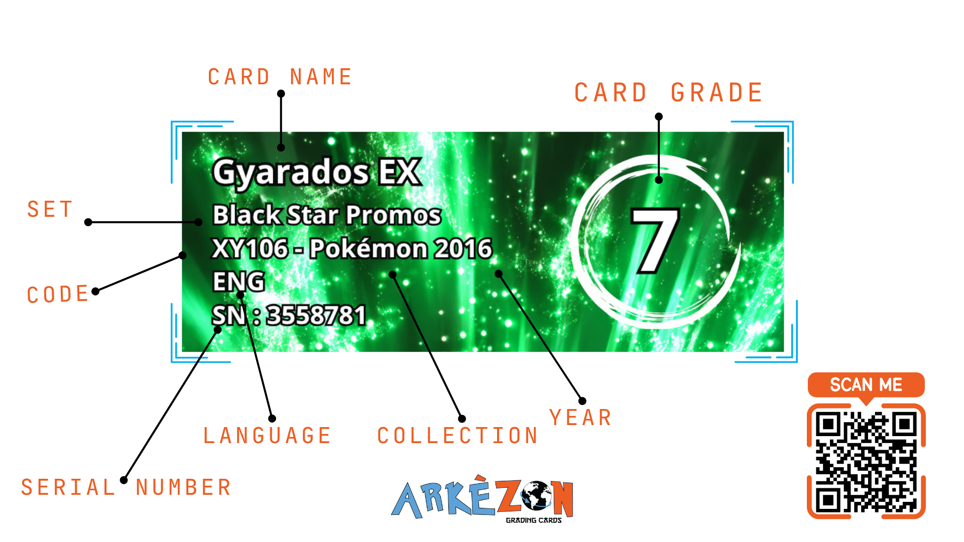 3558781 - Gyarados EX - XY106 - 7