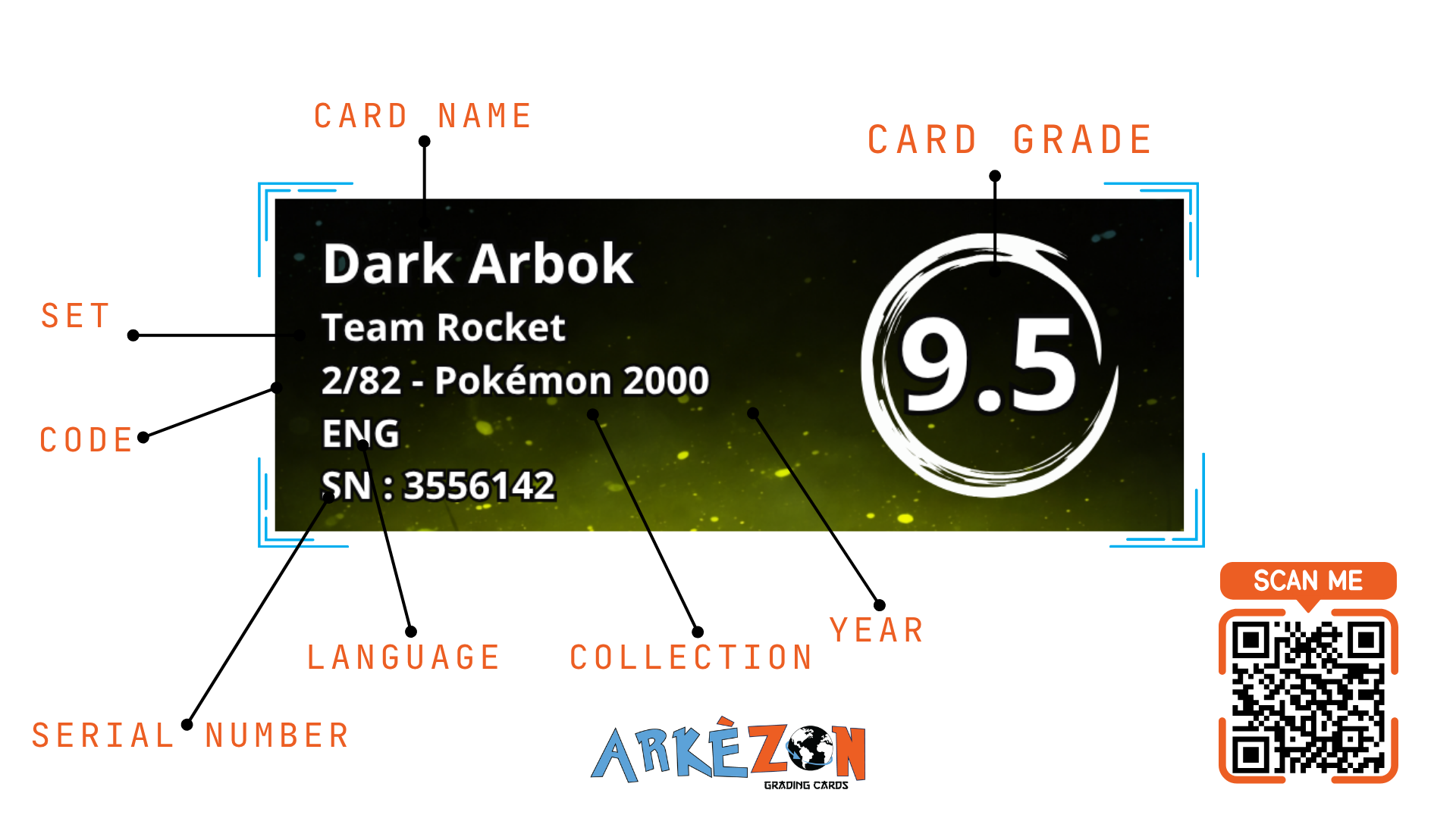 3556142 - Dark Arbok - 2/82 - 9.5
