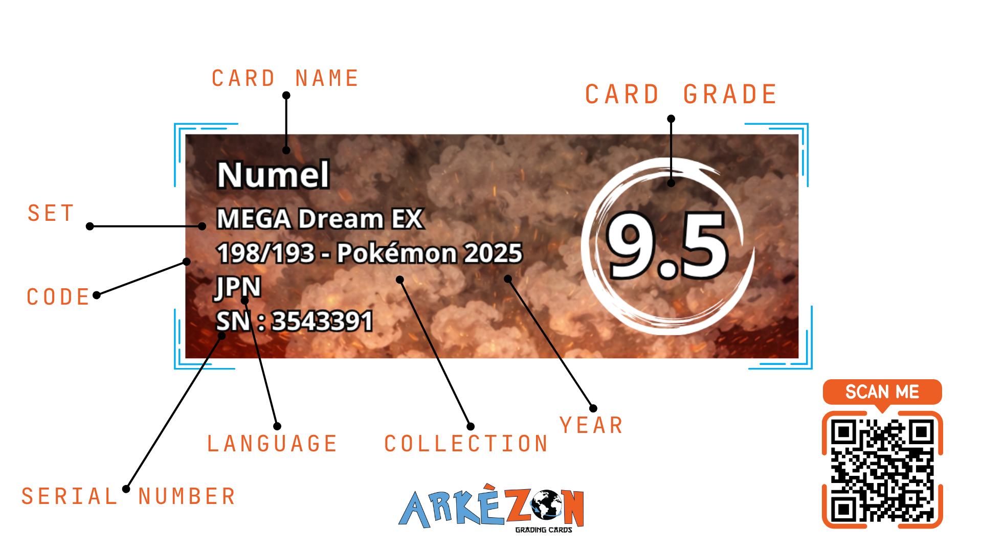 3543391 - Numel - 198/193 - 9.5