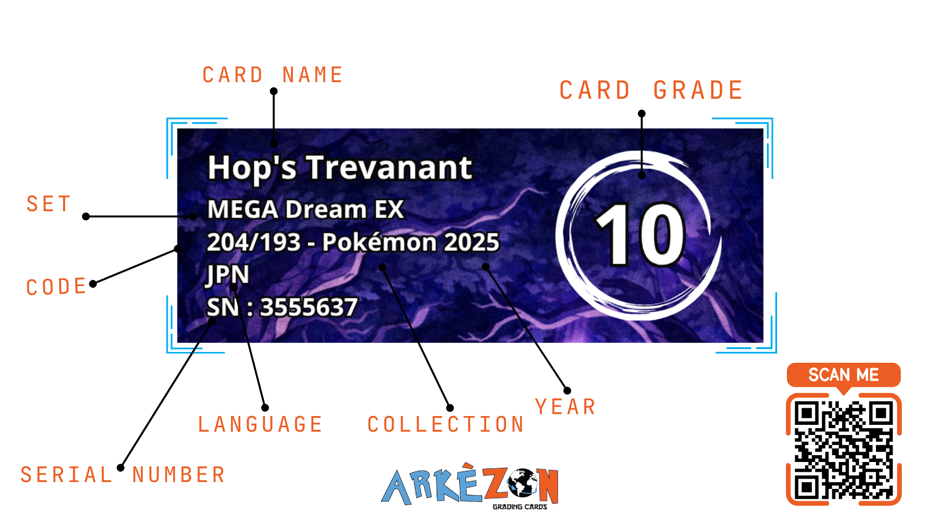 3555637 - Hop's Trevenant - 204/193 - 10