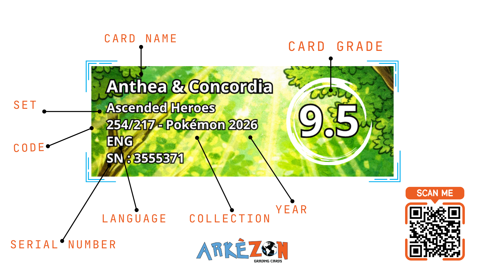 3555371 - Anthea & Concordia - 254/217 - 9.5