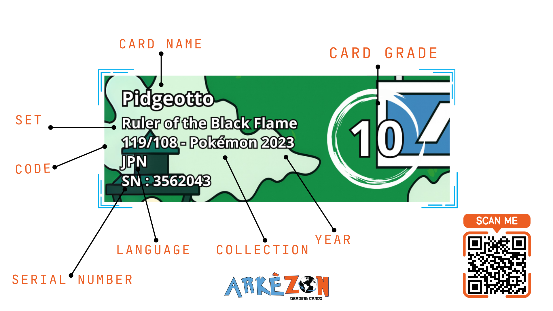 3562043 - Pidgeotto - 119/108 - 10