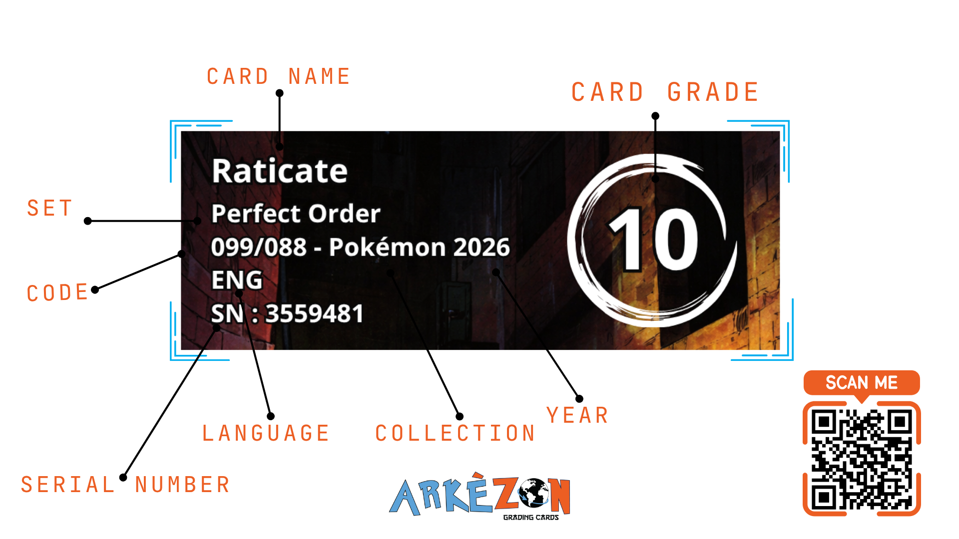3559481 - Raticate - 099/088 - 10